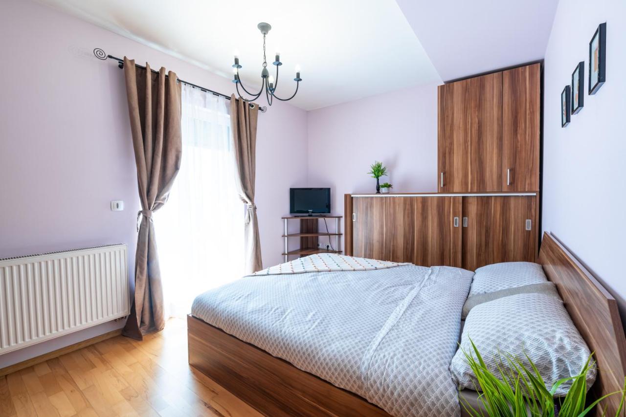 Business And Travel Lounge With Private Parking Διαμέρισμα Τιμισοάρα Εξωτερικό φωτογραφία