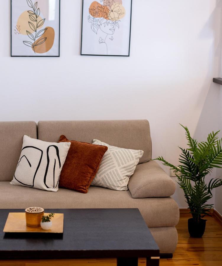 Business And Travel Lounge With Private Parking Διαμέρισμα Τιμισοάρα Εξωτερικό φωτογραφία